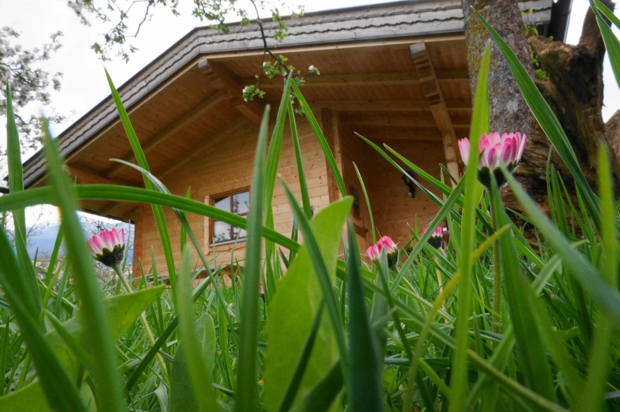 Ferienhaus Mandlhof Weer Bagian luar foto