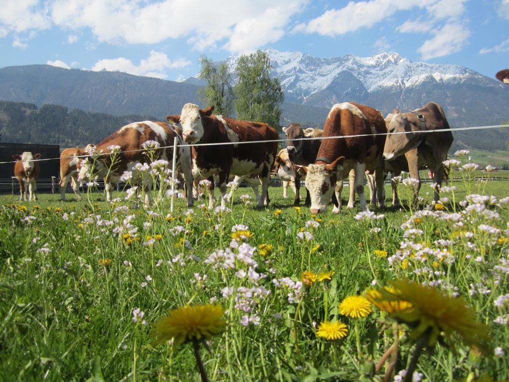 Ferienhaus Mandlhof Weer Bagian luar foto
